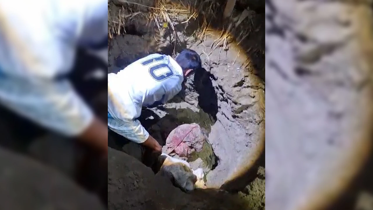 জমি লিখে না দেওয়ায় স্বামীকে হত্যা : রান্নাঘরের মাটি খুঁড়ে লাশ উদ্ধার